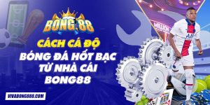 Cách cá độ bóng đá hốt bạc từ nhà cái Bong88