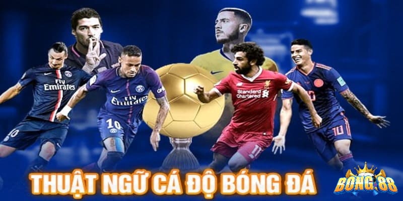 các thuật ngữ trong cá độ bóng đá