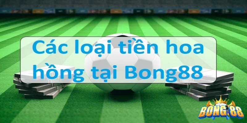 cách xem tiền cỏ trong bong88